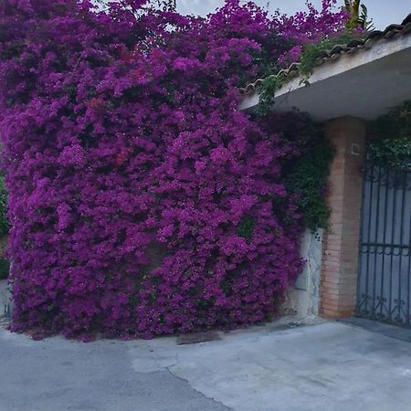 La Latomia Villa Nei Pressi Del Teatro Greco Syracuse Exterior foto